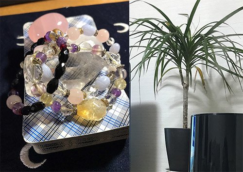 占い師medaiのお気に入り写真2